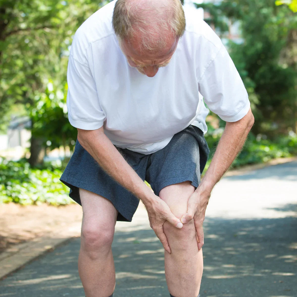 ARTHRO4 • Joint + cartilage complex • with Green-lipped mussel • 120 capsules - Mannavita