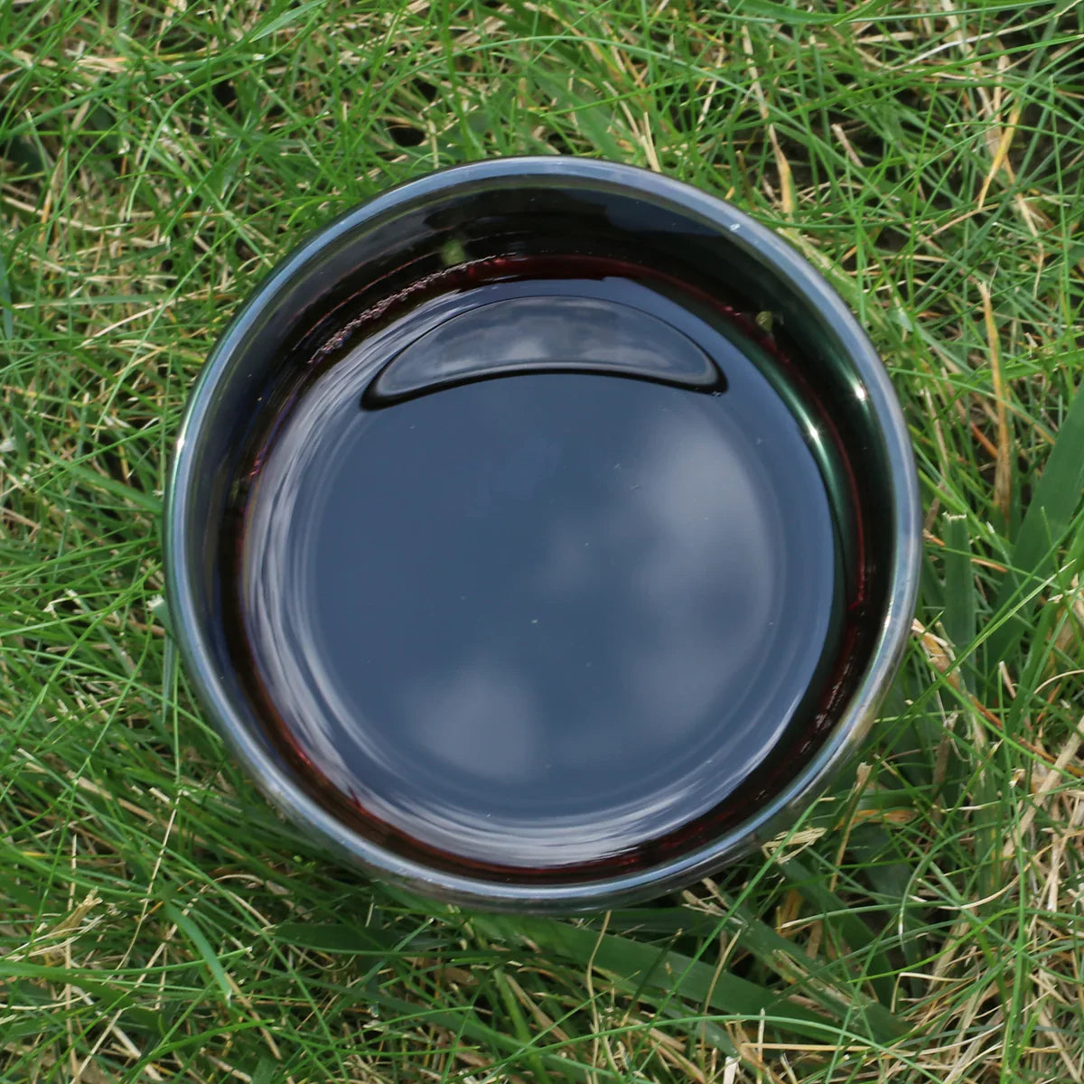 Mannavita Blueberry 100% pure pressed juice • 500 ml - Mannavita