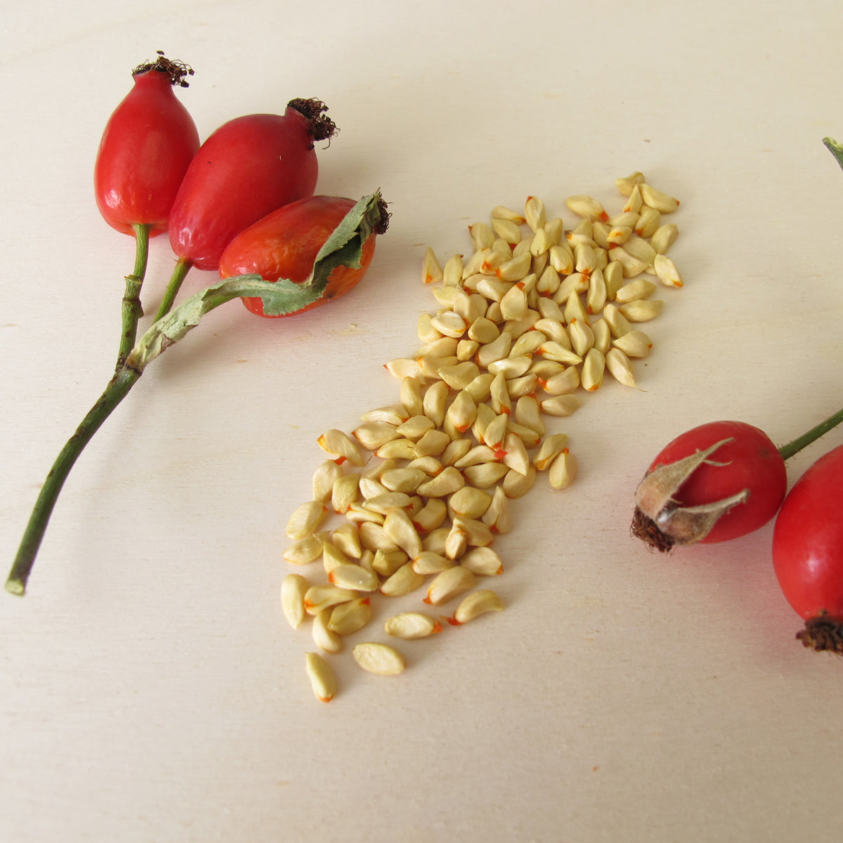 Mannavita ungersk kallpressad nyponfröolja • 40 ml