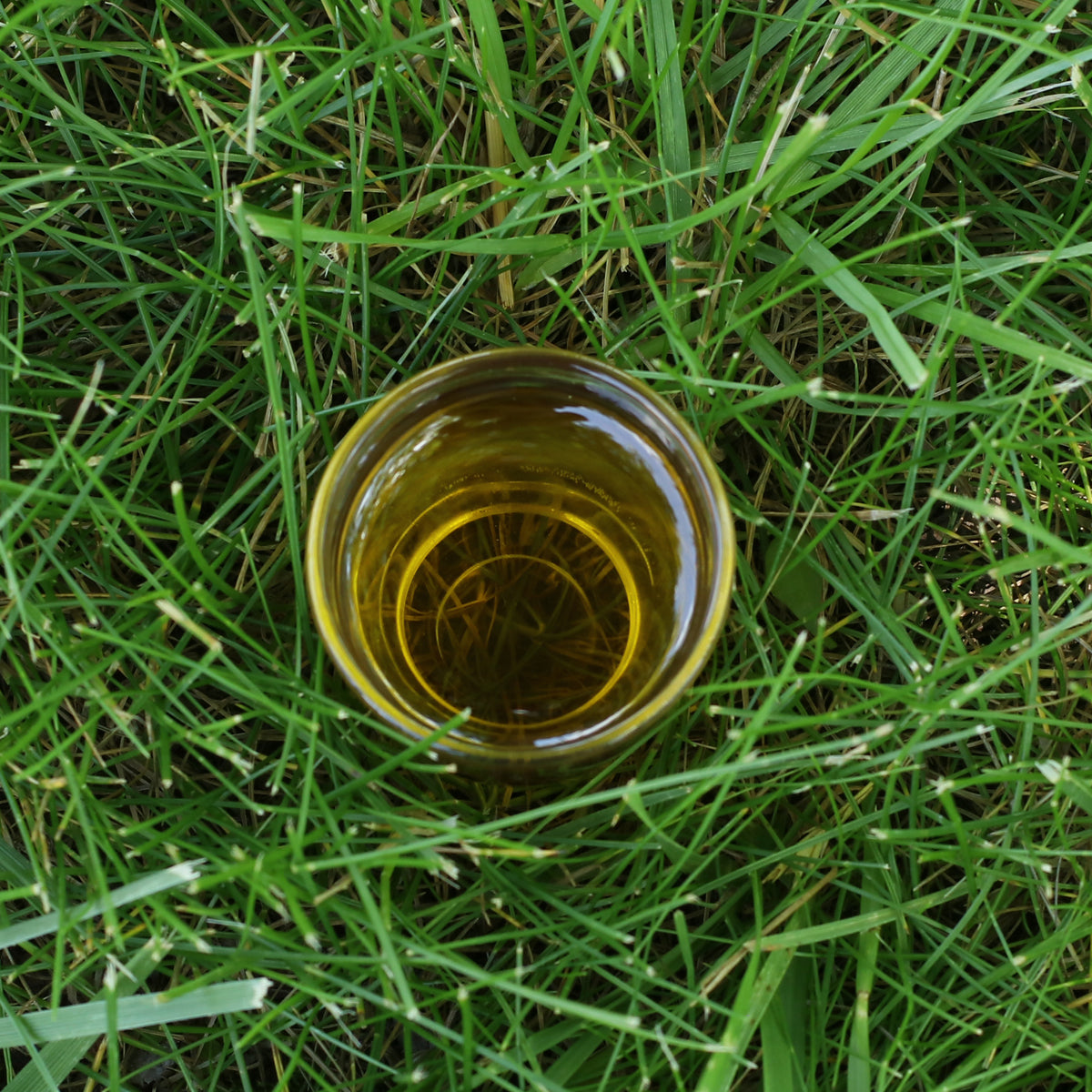 Mannavita Ουγγρικό ψυχρής έκθλιψης έλαιο σταφυλιού • 250 ml