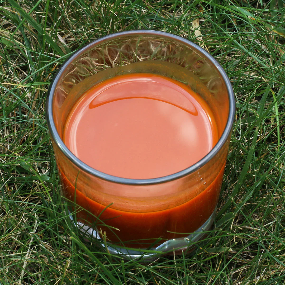 Mannavita Goji berry 100% pure pressed juice • 500 ml - Mannavita