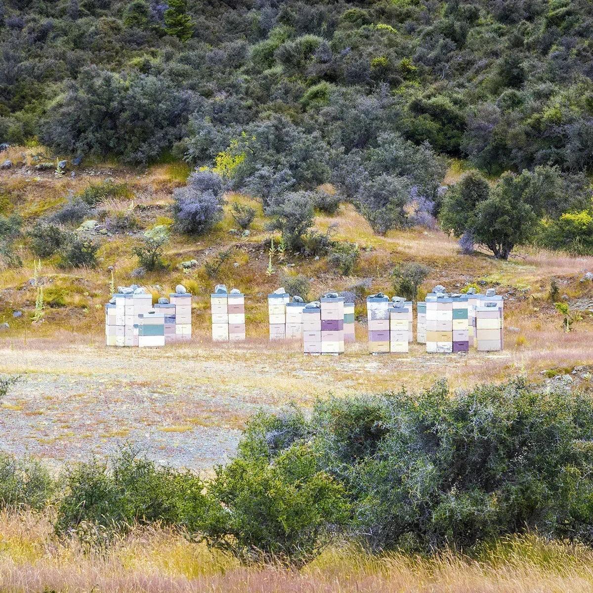 Melora Manuka Honey 525+ MGO™ UMF 15 • 500 g - Mannavita