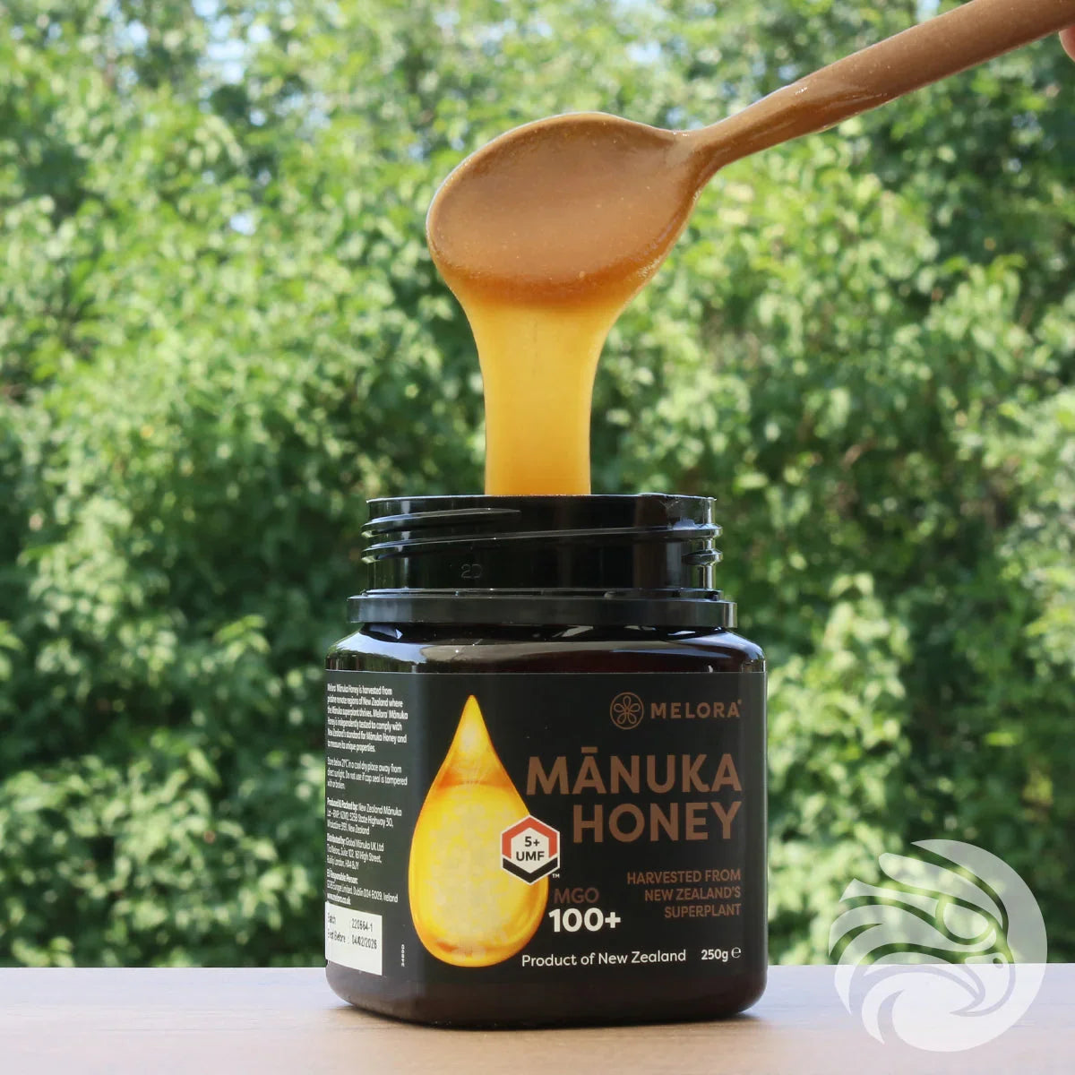 Melora Manuka Honey 100+ MGO™ UMF 5 • 250 g - Mannavita