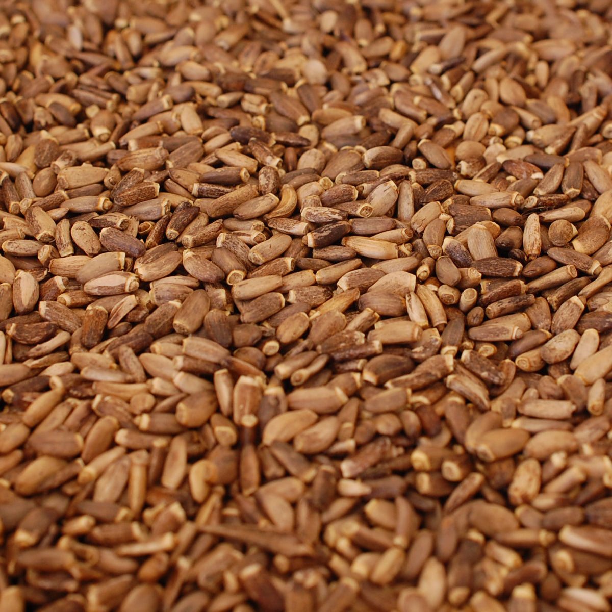 Mannavita Macar soğuk preslenmiş deve dikeni tohumu yağı • 250 ml