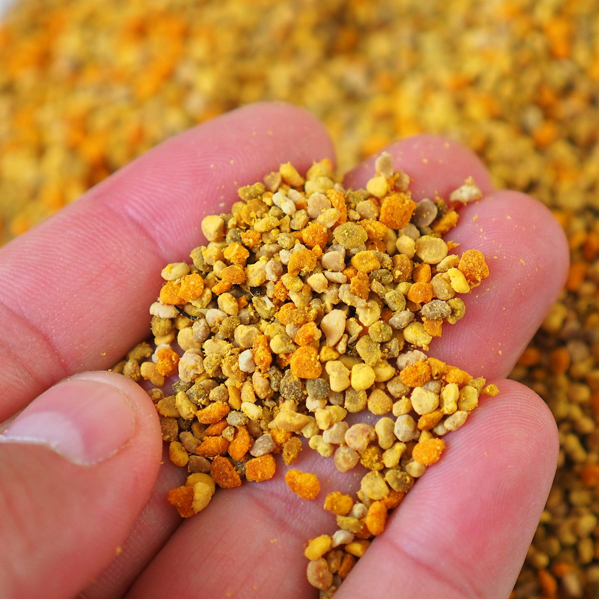 Mannavita torkat multifloralt bipollen • 200 g