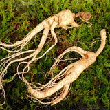 ENDOQIN manpower forte • 90 capsules