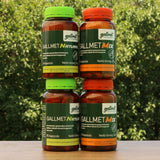 Gallmet N - Natural epesav kapszula • 90db