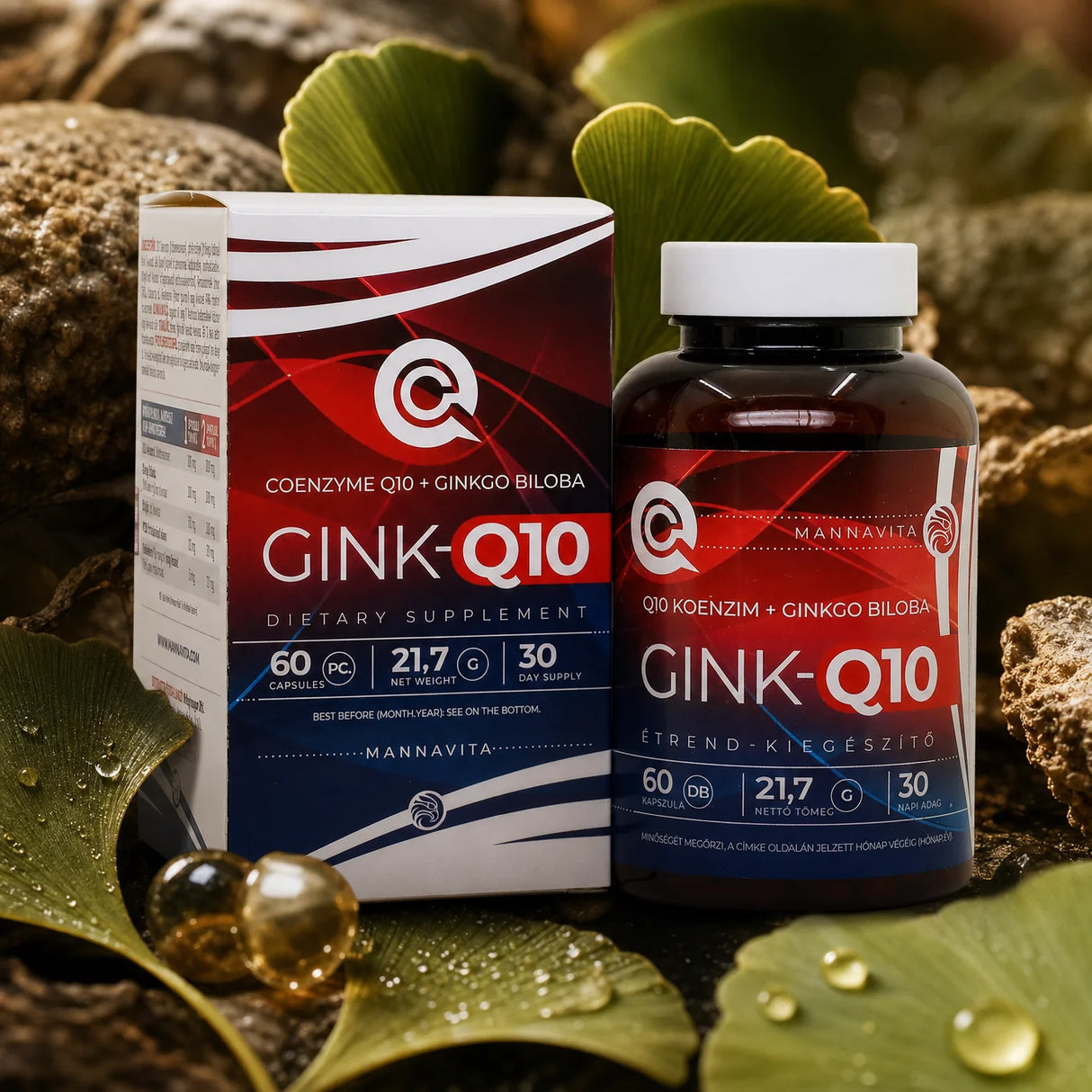 GINK-Q10 • Q10 Coenzyme + Ginkgo Biloba complex • 60 capsules