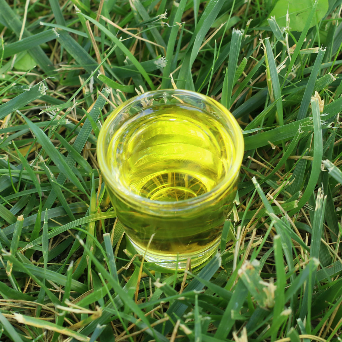 Mannavita madžarsko hladno stiskano olje semen pegastega badlja • 250 ml 