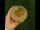 Mannavita Aloe vera 100% pure pressed juice • 1000 ml