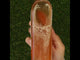 Mannavita unfiltered Apple Cider Vinegar with double Fermentation • 500 ml