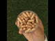 GINK-Q10 • Q10 Coenzyme + Ginkgo Biloba complex • 60 capsules